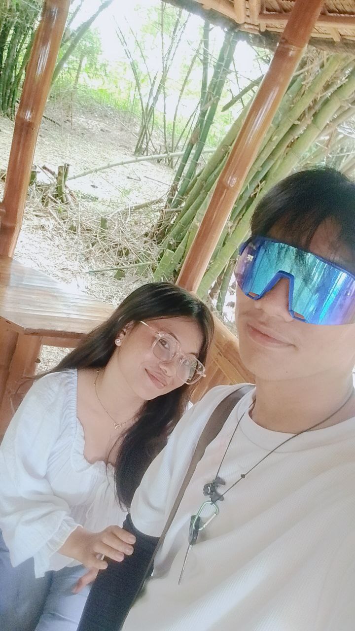 Bamboo 41